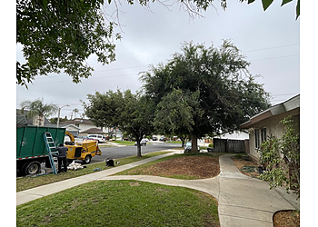 Corona Lawn Care Services Ortega Tree Service & Lawn Maintenance