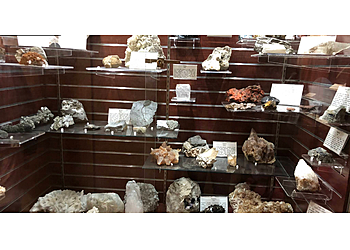 Columbus Museums Orton Geological Museum