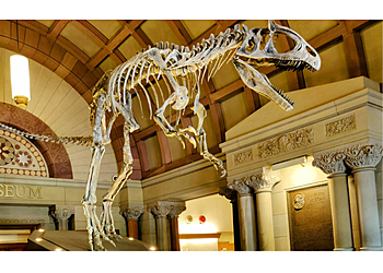 Columbus Museums Orton Geological Museum