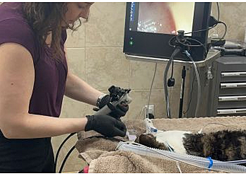 Chula Vista Veterinary Clinics Otay Pet Vets