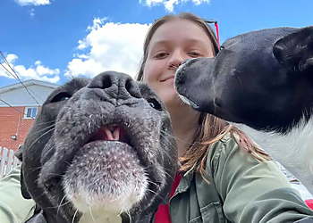 Denver Dog Walkers Out-U-Go! Pet Care Services, Inc.