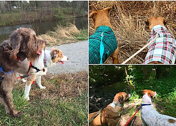 Louisville Dog Walkers Outdoor Dog Adventures, LLC