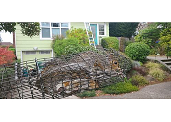 Seattle Animal Removal Out of the Wild