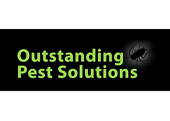 Moreno Valley Pest Control Companies Outstanding Pest Solutions