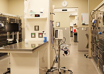 Overland Park Veterinary Emergency and Specialty - Overland Park, KS Veterinary Clinics - Medical Procedure Image