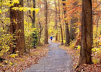 Memphis Public Parks Overton Park