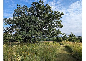 Madison Hiking Trails Owen Conservation Park