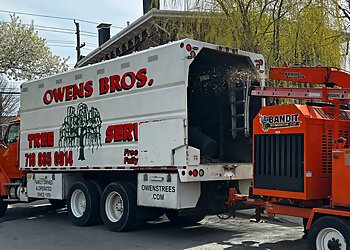 New York Tree Services Owens Brothers Tree Service
