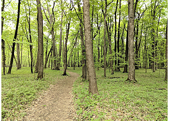 Rochester Hiking Trails Oxbow Park and Zollman Zoo