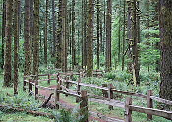 Gresham Hiking Trails Oxbow Regional Park