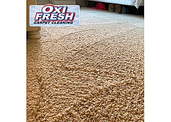Berkeley Carpet Cleaners Oxi Fresh Carpet Cleaning