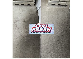 Fort Collins Carpet Cleaners Oxi Fresh Carpet Cleaning