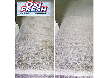 New Orleans Carpet Cleaners Oxi Fresh Carpet Cleaning