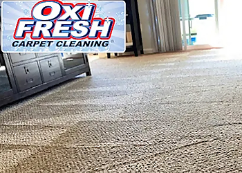 Reno Carpet Cleaners Oxi Fresh Carpet Cleaning