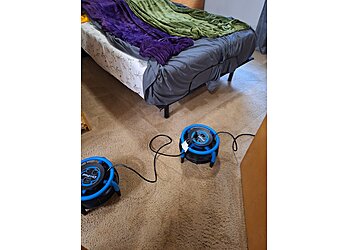 Salem Carpet Cleaners Oxi Fresh Carpet Cleaning