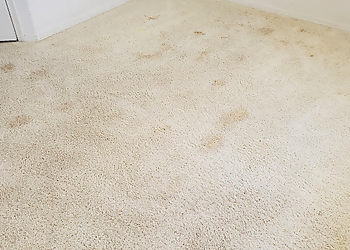 Oxi Fresh Carpet Cleaning Santa Maria Carpet Cleaners Oxi Fresh Carpet Cleaning