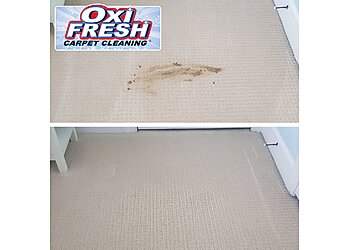 Aurora Carpet Cleaners Oxi Fresh Carpet Cleaning Aurora