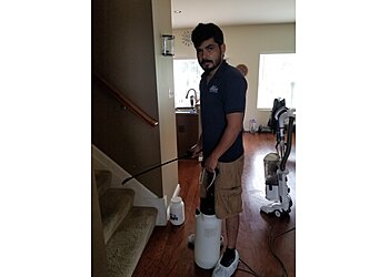 Washington Carpet Cleaners Oxi Fresh Carpet Cleaning Washington