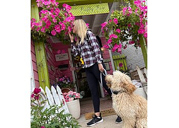 Denver Dog Training PAVLOV Dog Training Denver