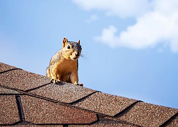 PCA Wildlife Removal in Charlotte - ThreeBestRated.com