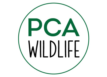 PCA Wildlife Removal