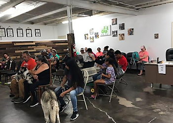 P.E.T.S. Clinic - Amarillo, TX Veterinary Clinics - Service Highlights