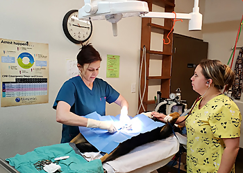 P.E.T.S. Clinic P.E.T.S. Clinic - Amarillo, TX Veterinary Clinics - Doctor With Patient Image
