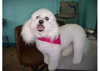 Pet's U Love, Inc. - Greensboro, NC Pet Grooming - Service Image