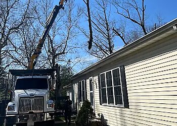 Springfield Tree Services PHP Tree Service