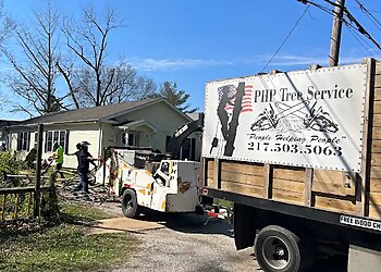 Springfield Tree Services PHP Tree Service