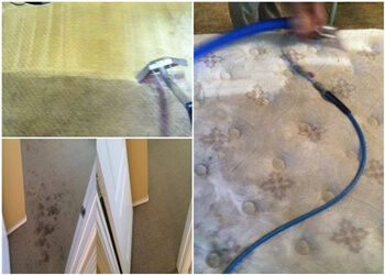Brownsville Carpet Cleaners PRO Cleaning Enterprise LLC