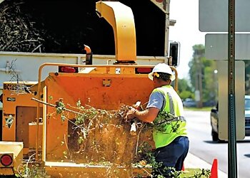 PRV Tree Service Round Rock Tree Services image 1