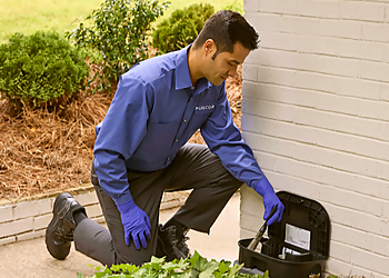 Seattle Pest Control Companies PURCOR Pest Solutions
