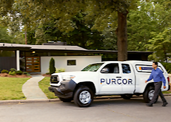 Seattle Pest Control Companies PURCOR Pest Solutions