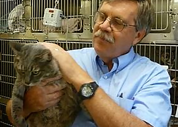 Oceanside Veterinary Clinics Pacific Animal Hospital