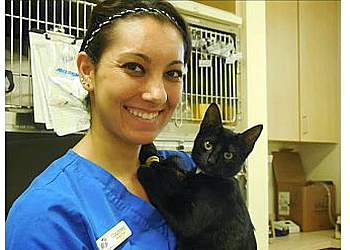 Oceanside Veterinary Clinics Pacific Animal Hospital