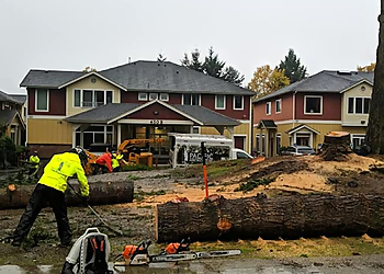 Kent Tree Services Pacific Arboriculture