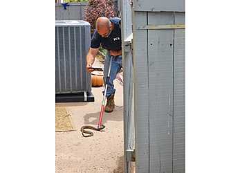 Oceanside Animal Removal Pacific Coast Animal Control