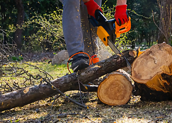 Pacific Coast Tree Service - Salinas, CA Tree Services - Tools and Equipment Image