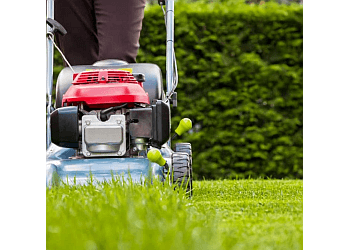 Pacific Sunscapes San Diego Lawn Care Services