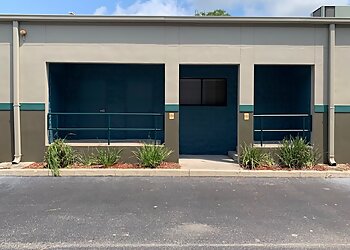 Orlando Painters Paisley Painting