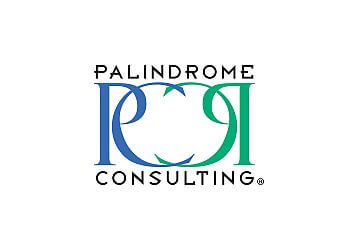 Palindrome Consulting