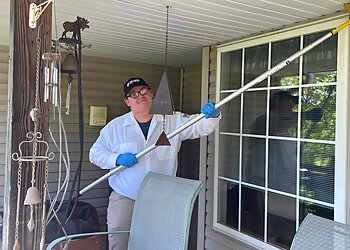 Springfield Pest Control Companies Palisade Pest Control