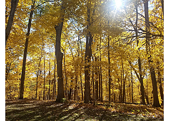 Cedar Rapids Hiking Trails Palisades-Kepler State Park