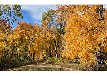 Cedar Rapids Hiking Trails Palisades-Kepler State Park