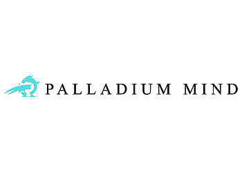 Seattle Hypnotherapy Palladium Mind