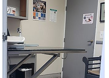 Palmdale Veterinary Clinics Palm Plaza Pet Hospital