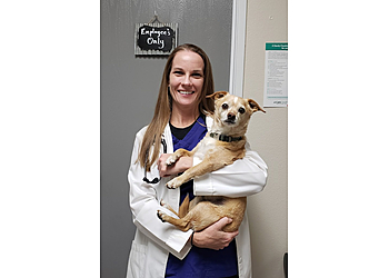Palmdale Veterinary Clinics Palm Plaza Pet Hospital