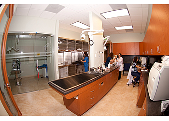 Miramar Veterinary Clinics Palm View Animal Hospital