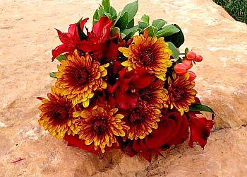 Joliet Florists Palmer Florist